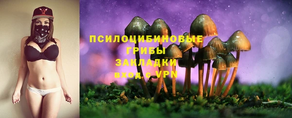 скорость Абаза