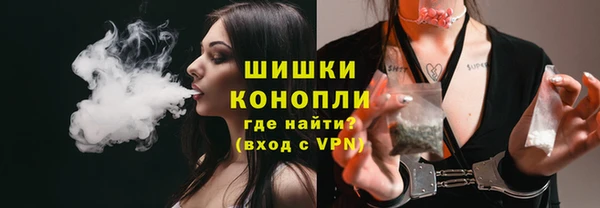 прущие грибы Абдулино