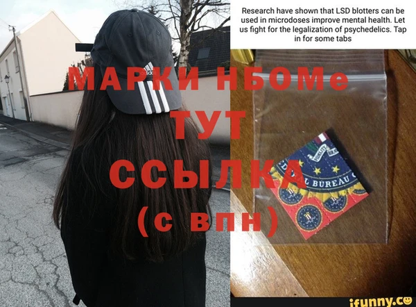 прущие грибы Абдулино